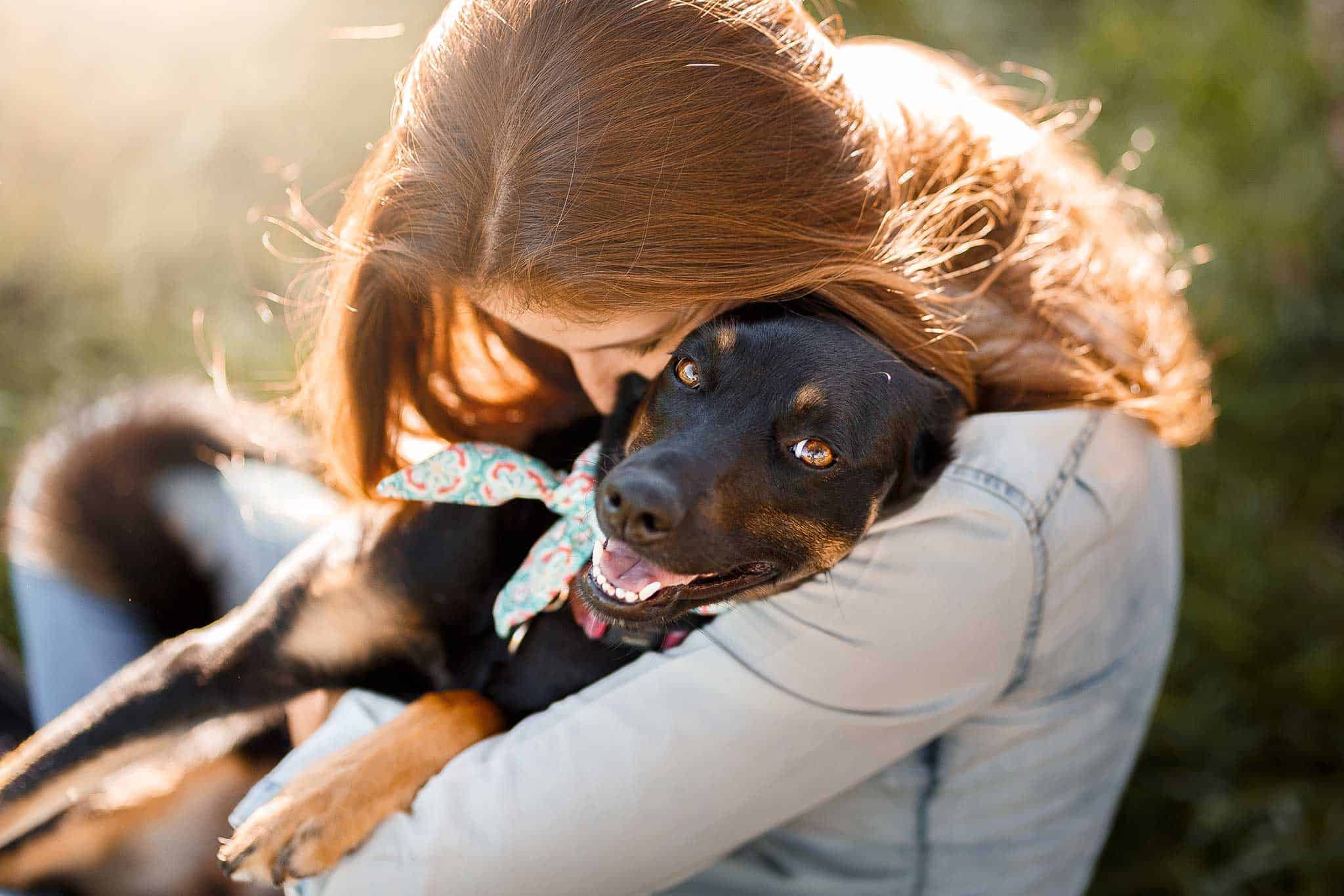 A happy dog being hugged by their human